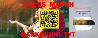 индика Будённовск