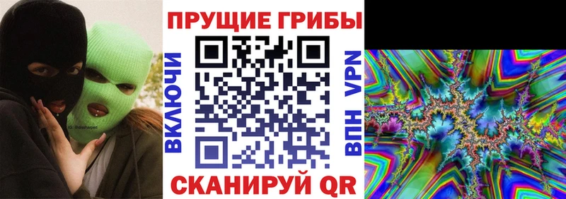Галлюциногенные грибы Cubensis  купить наркотики цена  Улан-Удэ 