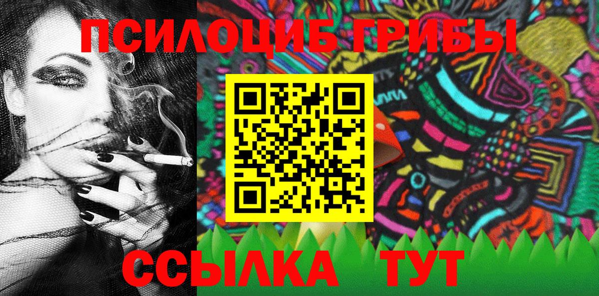 Галлюциногенные грибы Cubensis  Улан-Удэ  Галлюциногенные грибы прущие грибы 